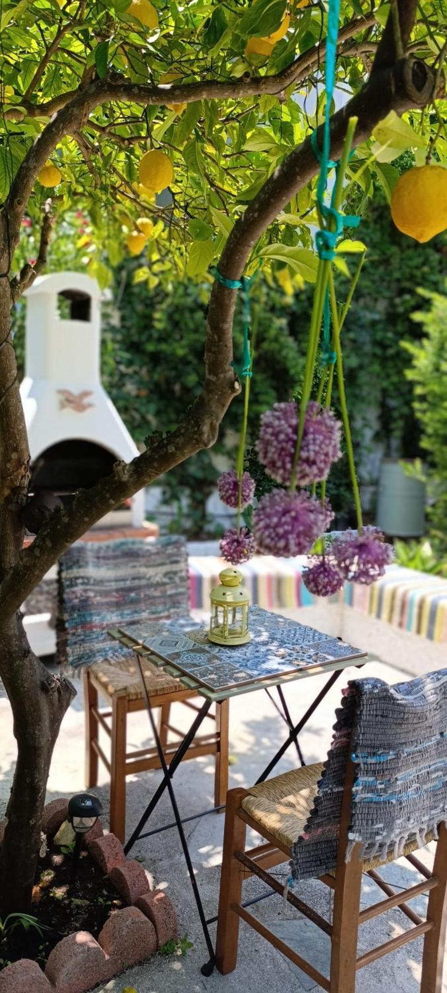 Stamatia'S Garden Hotel Agnontas Exterior foto